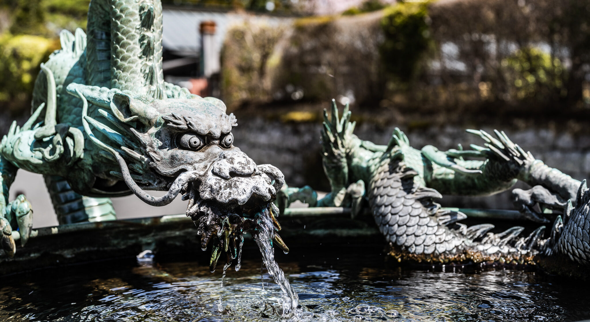 The dragon fountain in front of Rinnoji Temple