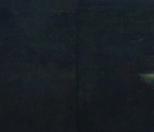 ...cả bóng tối và ánh sáng đều cô đơn | ...both dark and light are lonely by Nguyễn Tuấn Cường (Sơn mài | Lacquer, 120 x 60 cm)